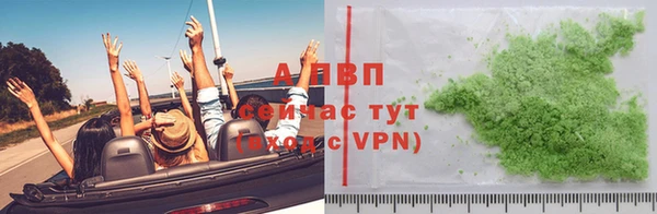 сатива Арсеньев
