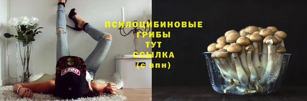 гидропоника Аркадак