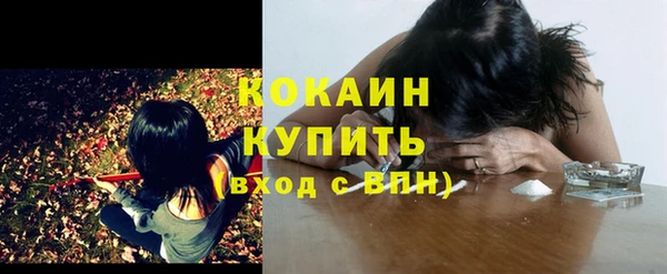 сатива Арсеньев