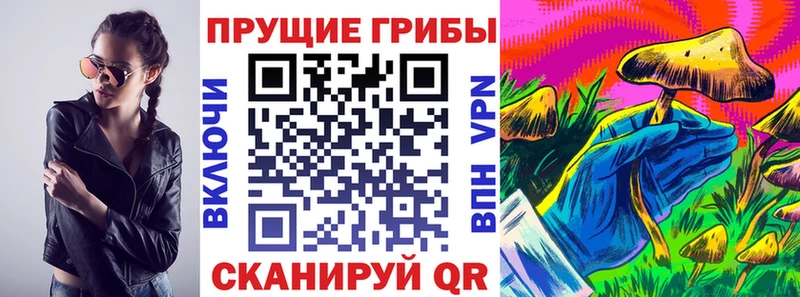 дарнет шоп  MEGA как зайти  Псилоцибиновые грибы прущие грибы  Строитель 