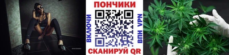 Бошки марихуана VHQ  даркнет сайт  Строитель 